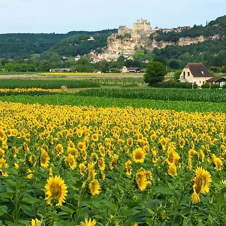 La Source, Beynac, Dordogne 3*