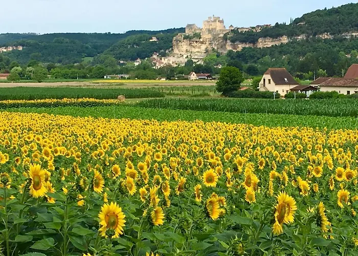 La Source, Beynac, Dordogne 3*
